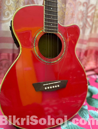 WashBurn Acoustic Guitar